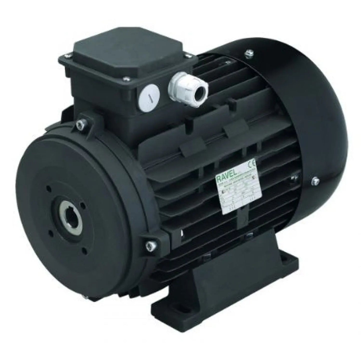 Motor Electric RAVEL 4KW Trifazic fără Ax | Motor Spălătorie Auto Dragon Wash