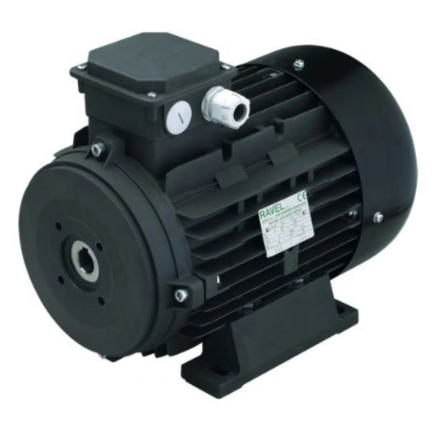 Motor Electric RAVEL 4KW Trifazic fără Ax | Motor Spălătorie Auto Dragon Wash